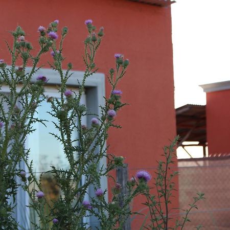 La Narcisa Villa เปวาโฆ ภายนอก รูปภาพ