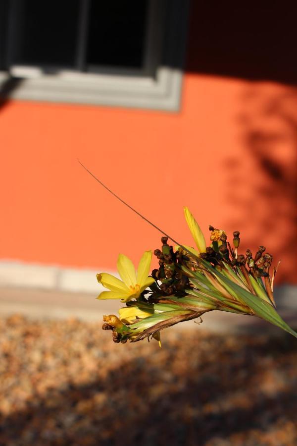 La Narcisa Villa เปวาโฆ ภายนอก รูปภาพ